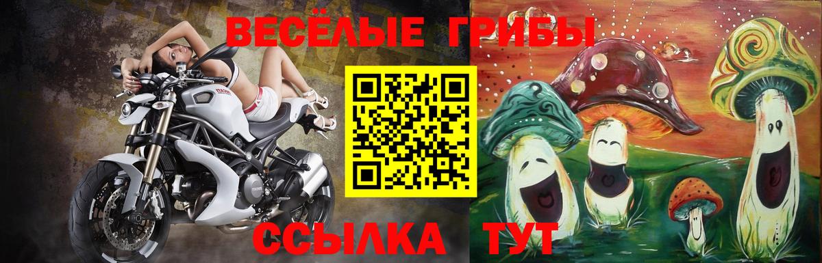 Галлюциногенные грибы прущие грибы  Псилоцибиновые грибы ЛСД  Бузулук  Вход с VPN 